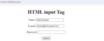 input Tag