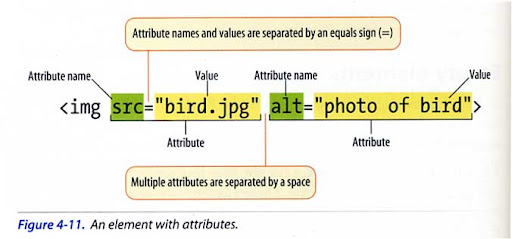 Name & Value Attributes